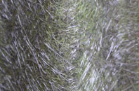 Arundel fibreglass roof work